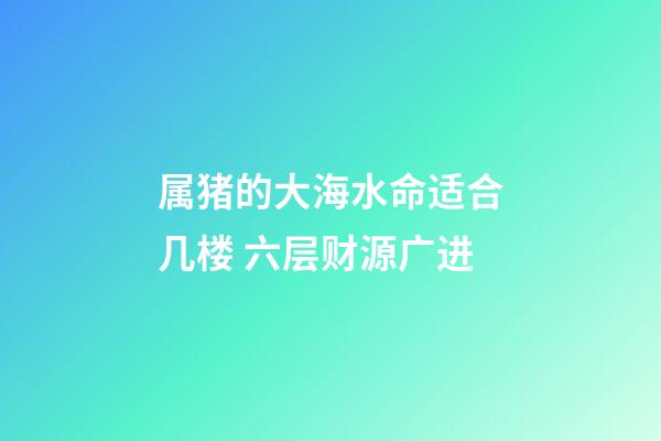 属猪的大海水命适合几楼 六层财源广进